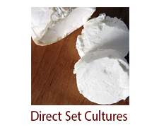 Direct Set Cheese Cultures (Starters)